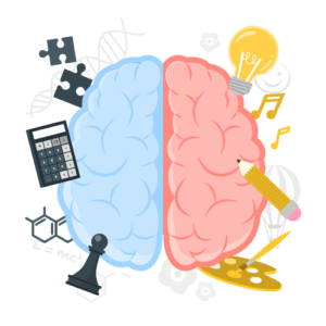 Neurologie - fonctions cognitives